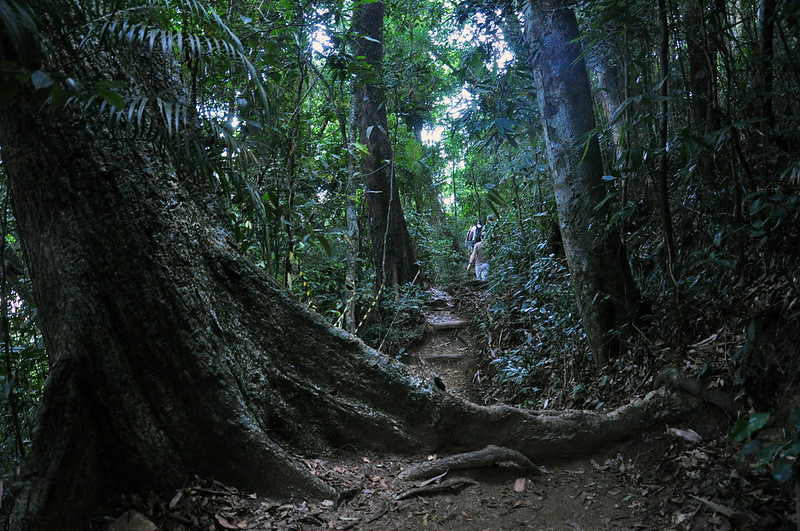 São Conrado