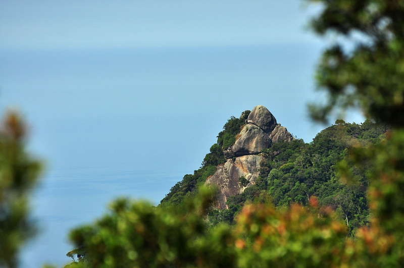 Trilha Guiada na Floresta da Tijuca