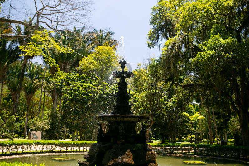 Caminho arborizado no Jardim Botânico
