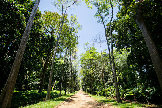 Concerto no Jardim Botânico